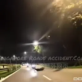 The sambar deer had been hit by two motorcycles.