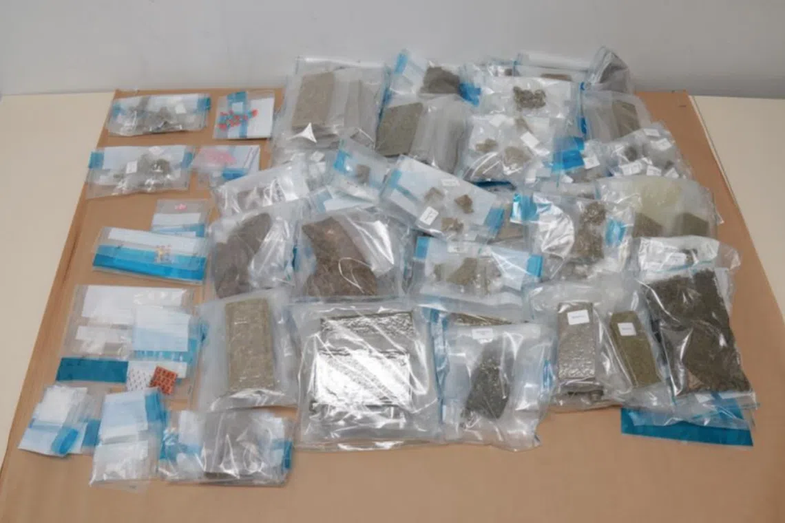 Drugs seized at the suspect's private residential estate on March 19. 