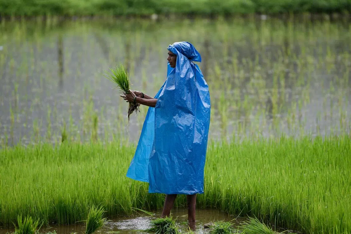  Indranil Aditya/Bloomberg