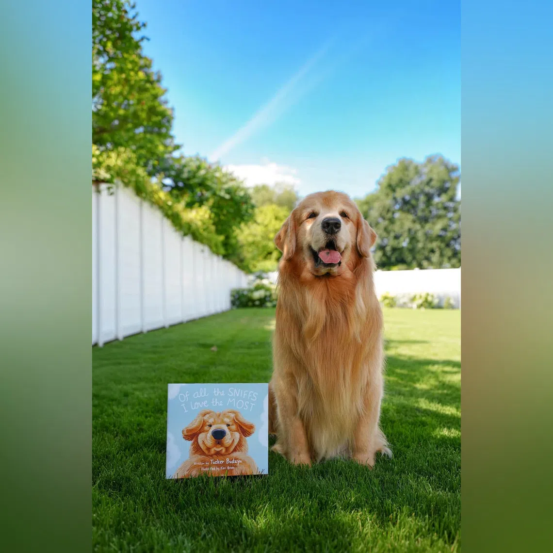 Tucker’s owner said the Internet canine star has started treatment and is “already considered to be in a partial remission after just one week”.