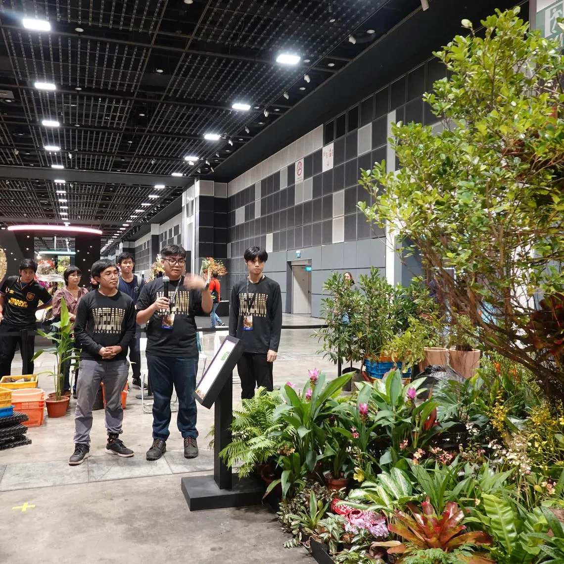 rcdesign - The heat was on for Bryan Lim from Ngee Ann Polytechnic, who was a previous winner when he was in ITE and participating in an earlier edition of the Landscape Design Challenge. This year, he and his friends Aryan Chong and Ng Jun Xiang put together Fiesta, a display with an impressive ficus tree as its centrepiece.

Copyright: Serene Luo