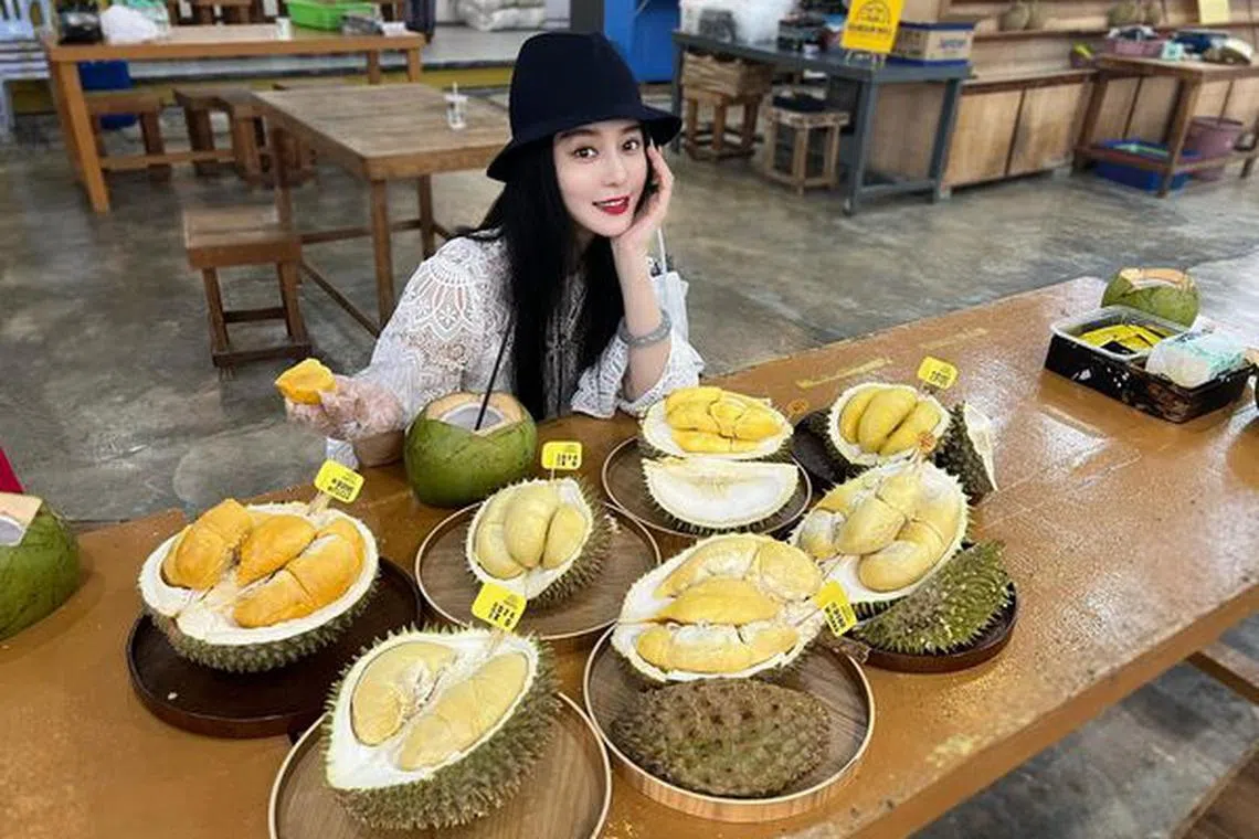 Popular Chinese actress Fan Bingbing has driven a wave of enthusiasm among tourists from China to savour the luscious taste of the king of fruits.