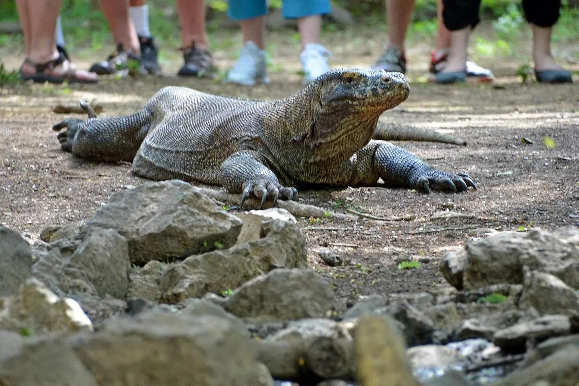 Locals said the drastic price hike would deter tourists with a limited budget from visiting the national park.