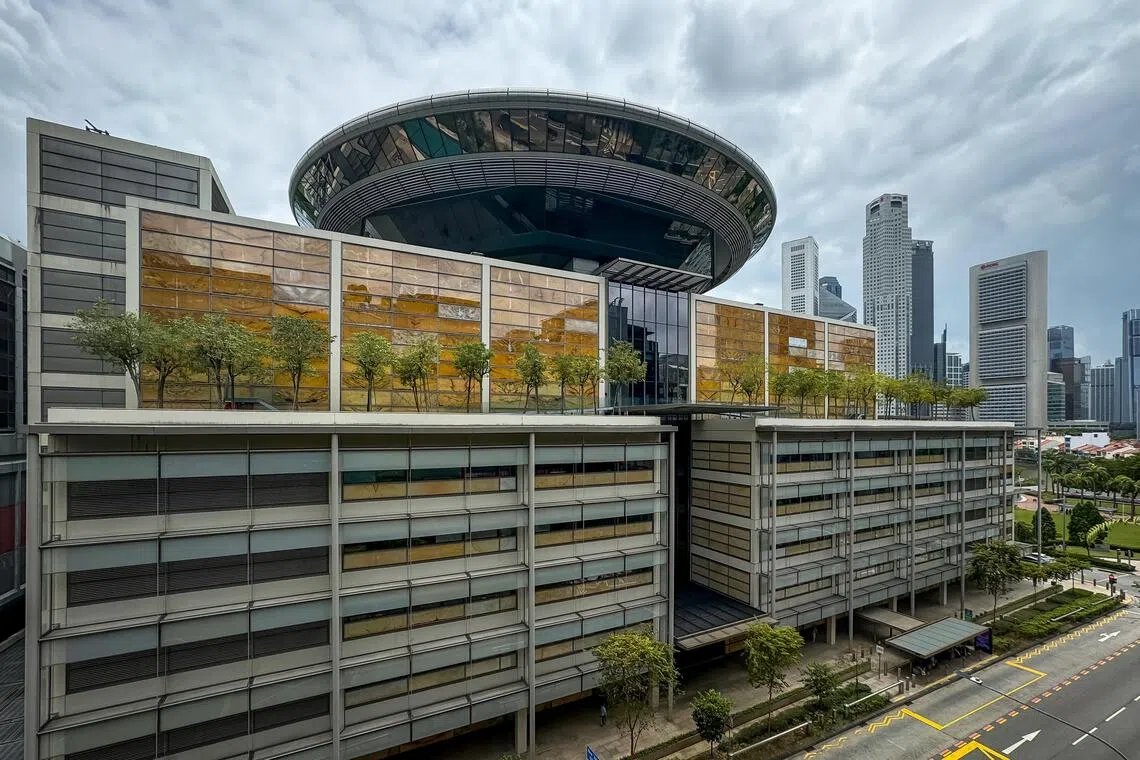 During the trial, Ms Prawesti testified that the family owned vast assets, including 50 other properties, an island, and large estates in Indonesia. 