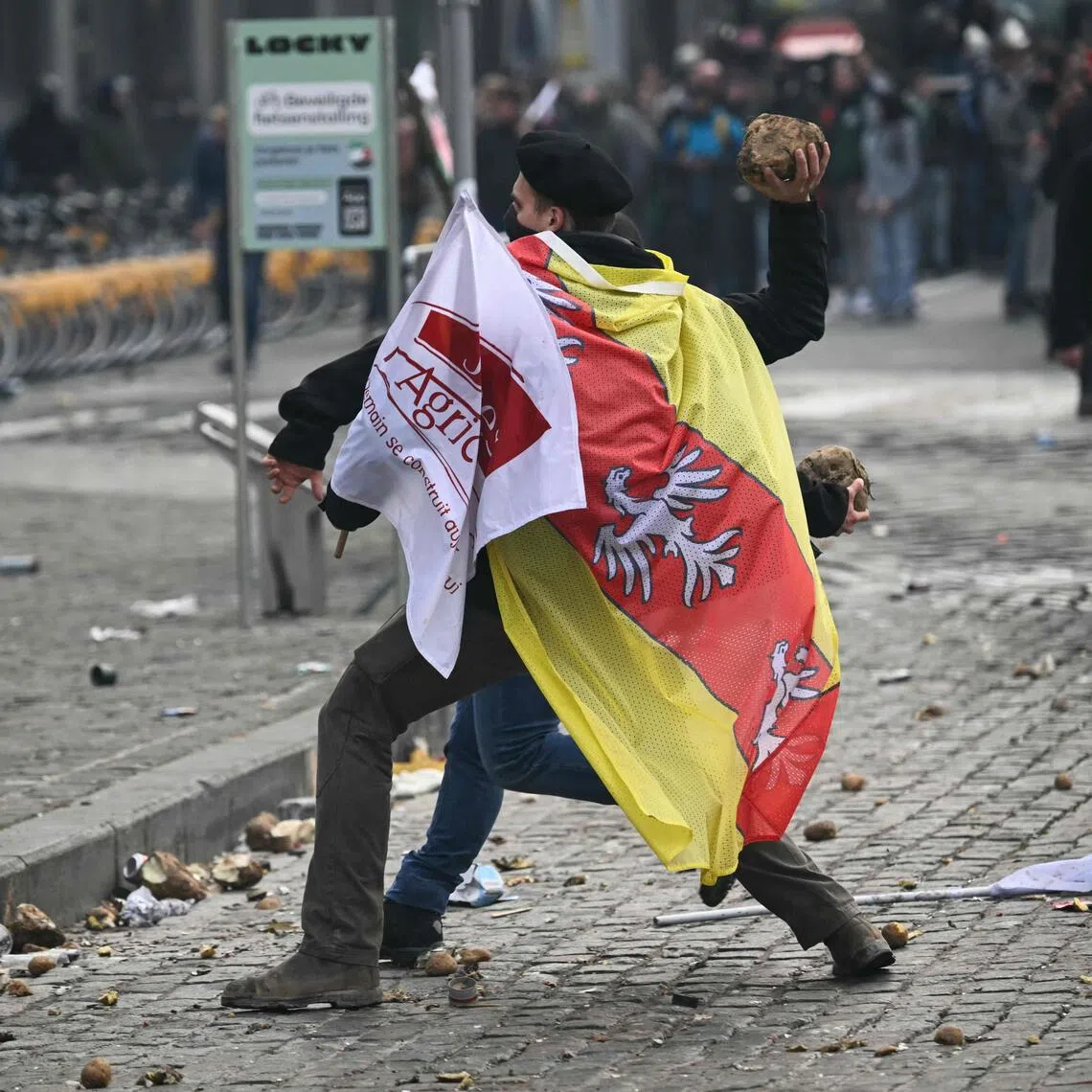 A protester wearing a Jeunes Agriculteurs (Young Farmers) flag throws a vegetable near the European Parliament in Brussels, during a farmers' protest on Dec 18 over the EU-Mercosur deal.