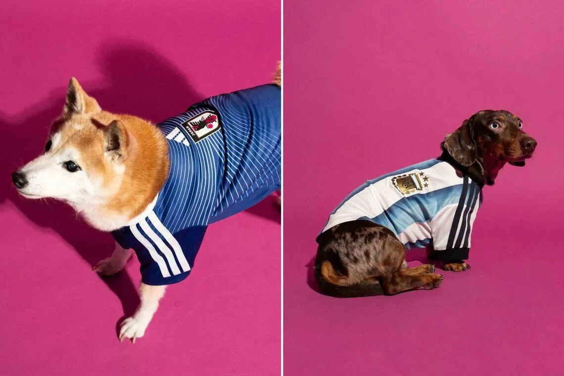 The Argentina and Japan World Cup kits for pets will be available in Singapore.