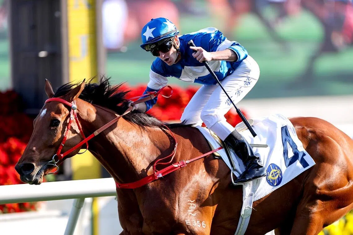 Luke Ferraris steering veteran sprinter Lucky With You to a win in the Class 1 TVB Cup Handicap (1,200m) at Sha Tin on Feb 9, 2025. He has since contested Group events with merit but will be better suited by the TVB Cup Class 2 Handicap (1,200m) at Sha Tin on Feb 14.