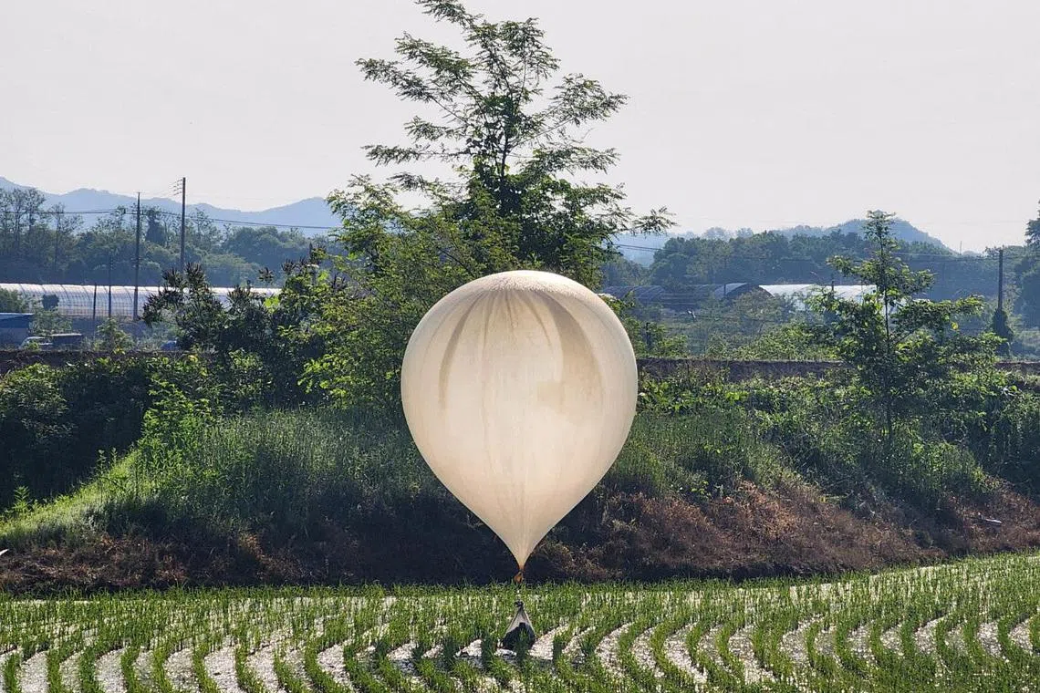 A balloon believed to have been sent by North Korea, carrying various objects including what appeared to be trash and excrement, is seen over a rice field at Cheorwon, South Korea, May 29, 2024.     Yonhap via REUTERS   THIS IMAGE HAS BEEN SUPPLIED BY A THIRD PARTY. NO RESALES. NO ARCHIVES. SOUTH KOREA OUT. NO COMMERCIAL OR EDITORIAL SALES IN SOUTH KOREA.