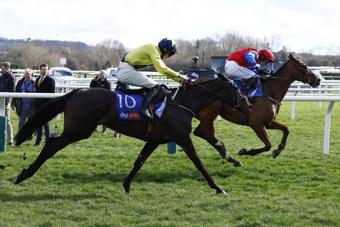 FILE PHOTO: Horse Racing - Cheltenham Festival - Cheltenham Racecourse, Cheltenham, Britain - March 14, 2023 Marine Nationale ridden by Michael O’Sullivan in action on their way to winning the 13:30 The Sky Bet Supreme Novices’ Hurdle Race REUTERS/Peter Cziborra/File Photo
