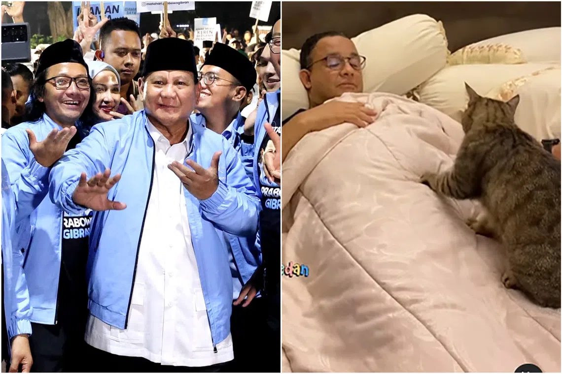 Defence Minister Prabowo Subianto (left) and former Jakarta governor Anies Baswedan are attempting to capture the attention of voters using the Internet staples of dance and cats.