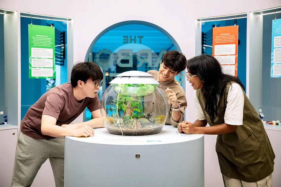 At The Carbon Gallery, climate action comes alive through exhibits that reveal how daily choices impact the planet.