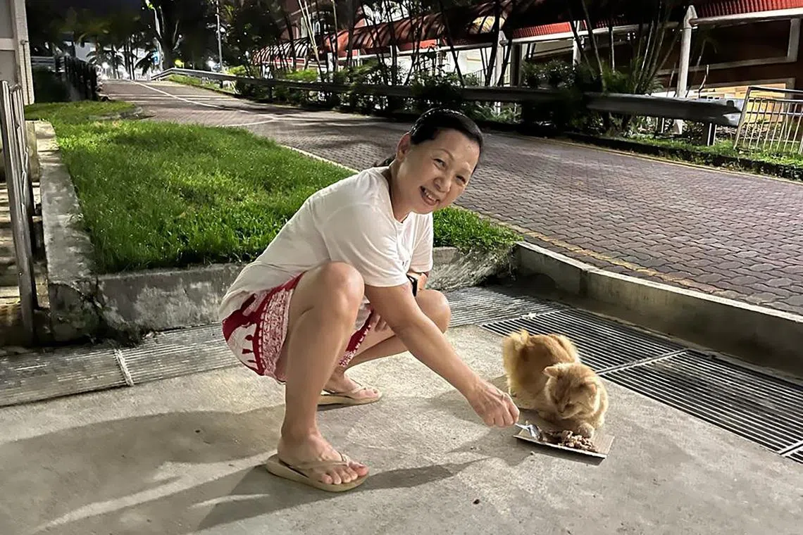 sfcat - Madam Piry Lim, the "cat mother" of Mei Ling Street, recovered from depression after seeking companionship from her feline friends.

Credit: Chin Soo Fang