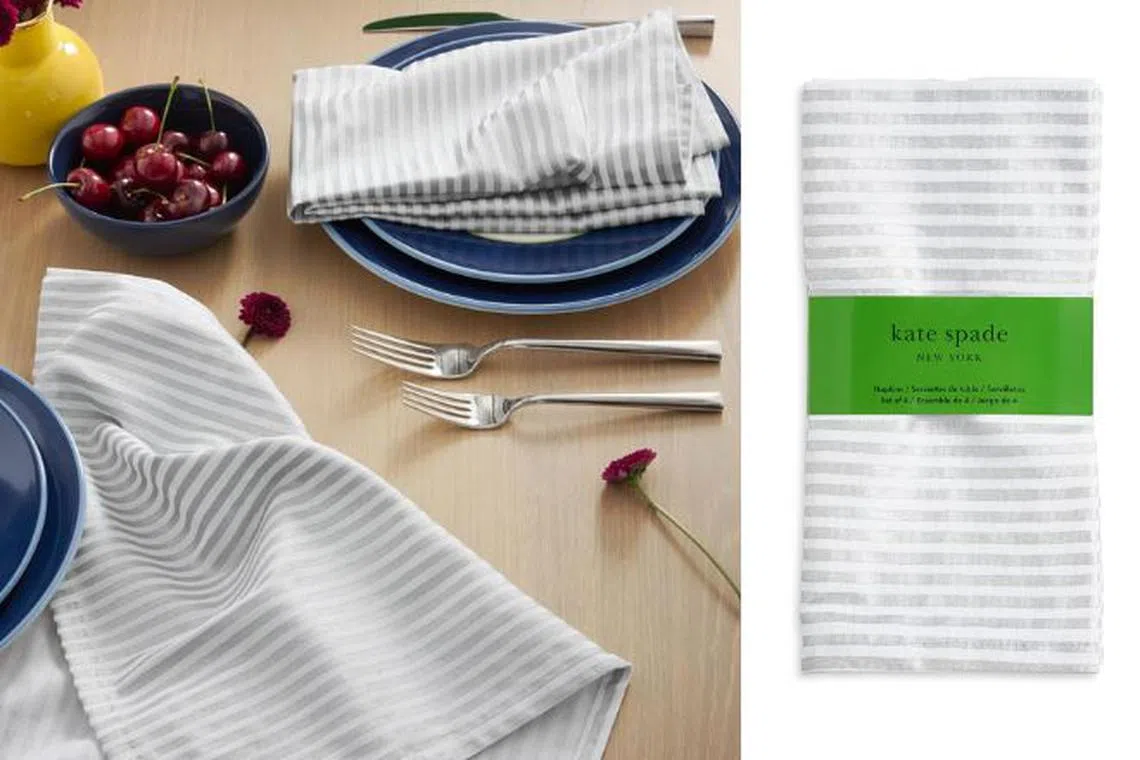 Kate Spade Hand Painted Shirting Stripe Cloth Napkins