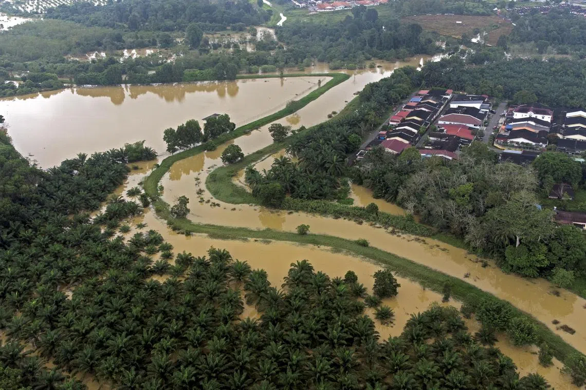 GEMAS BAHARU, Negeri Sembilan - Aerial view showing flood waters overflowing the snaky Sungai Gemas due to heavy rain in Tampin, Negeri Sembilan on Friday.
