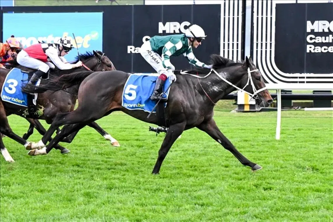 Angel Capital -  Angel Capital (Ben Melham) breaking his Group 1 duck in the Sir Rupert Clarke Stakes (1,400m) at Caulfield on Sept 19.

PHOTO: RACING PHOTOS