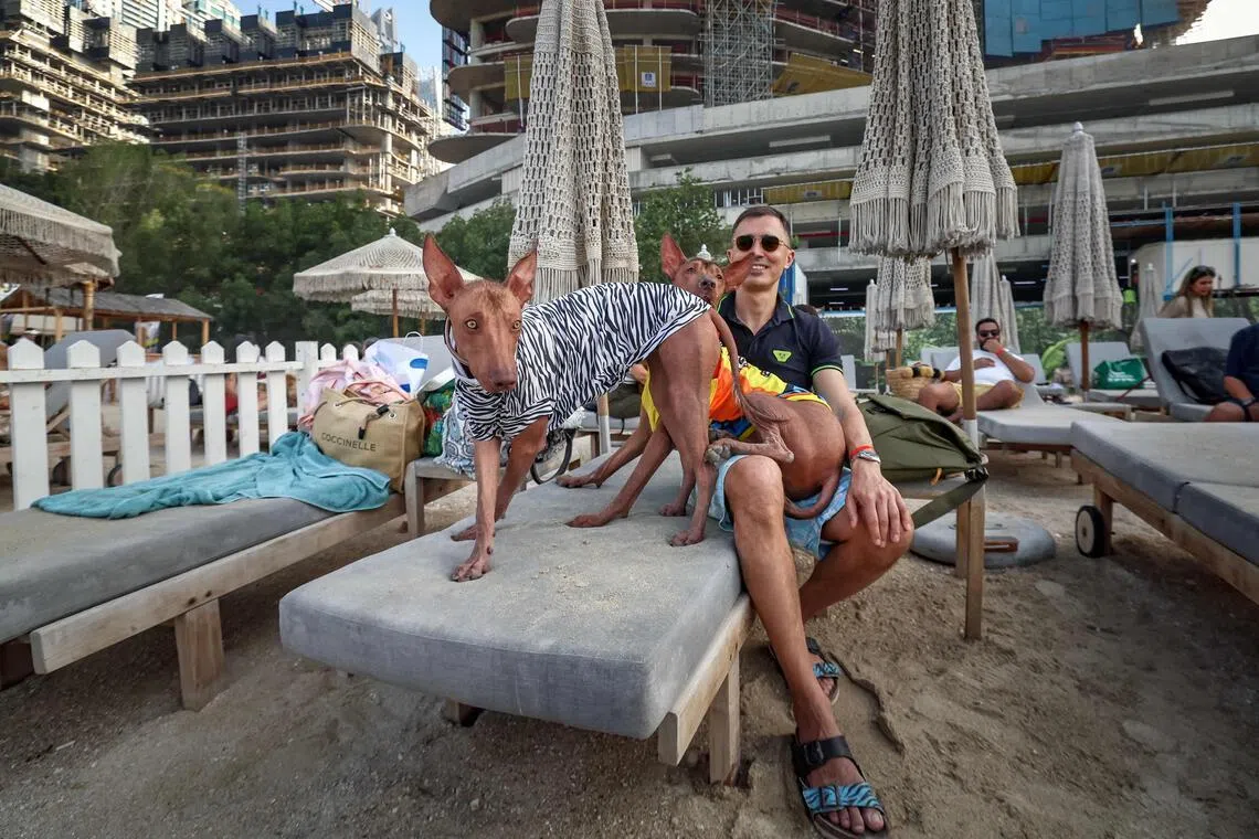 A man sits with his dogs during the Barkfest dog festival at Barasti Beach in Dubai on April 4, 2026. 