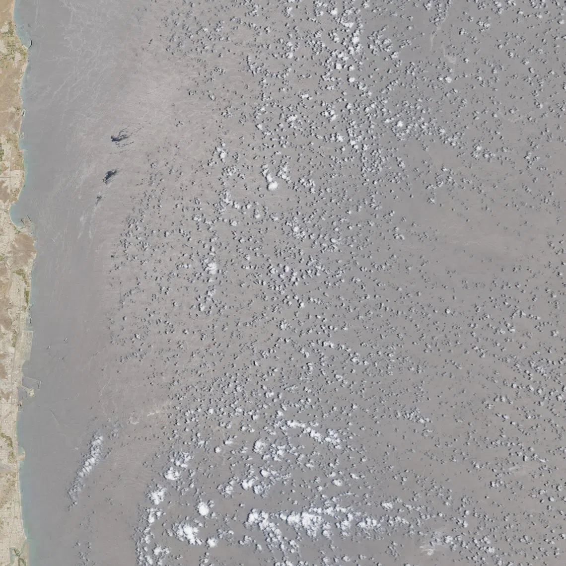 A satellite image of side-by-side ships at sea, off the coast of Fujairah, United Arab Emirates, June 6, 2026.  European Union/Copernicus Sentinel-2/Handout via REUTERS