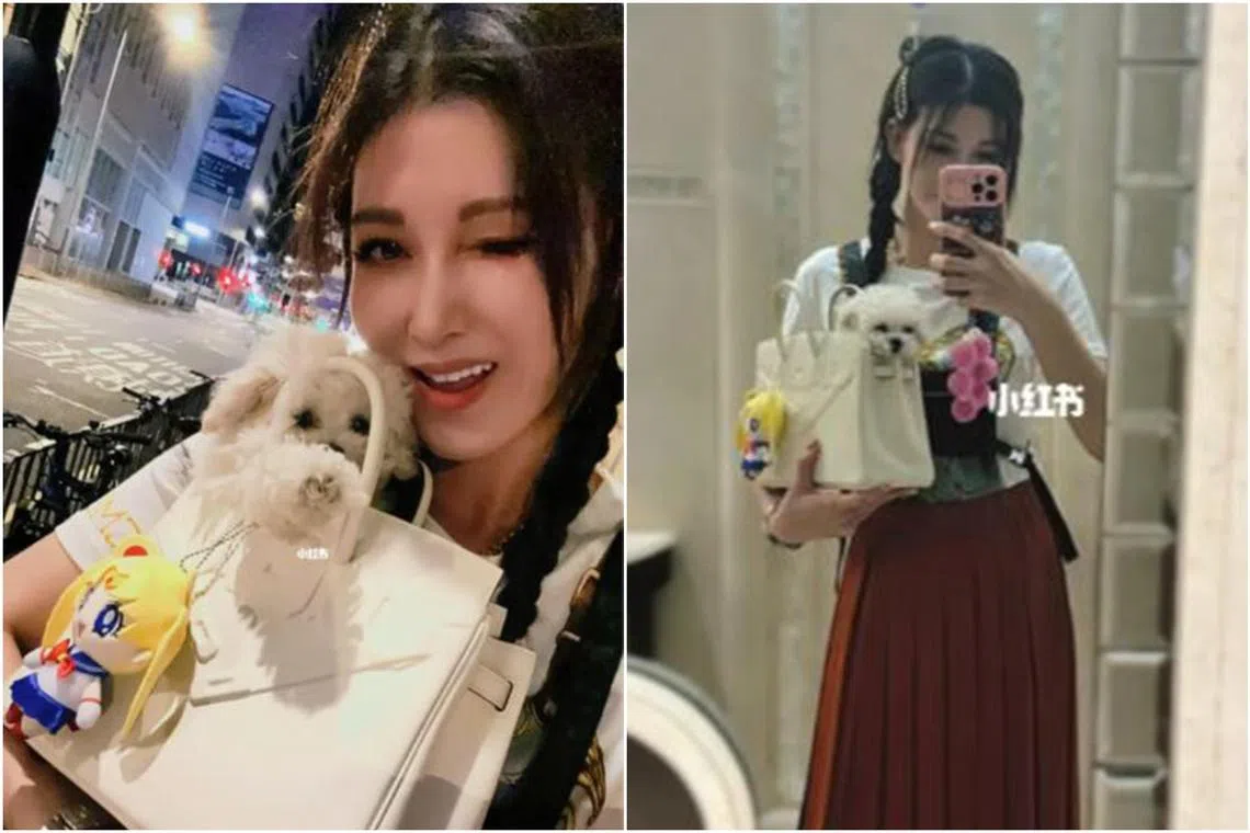 Actress Rain Lee went for a walk with her pet dog Creamy snuggled inside her Hermes Birkin Shadow Bag.
