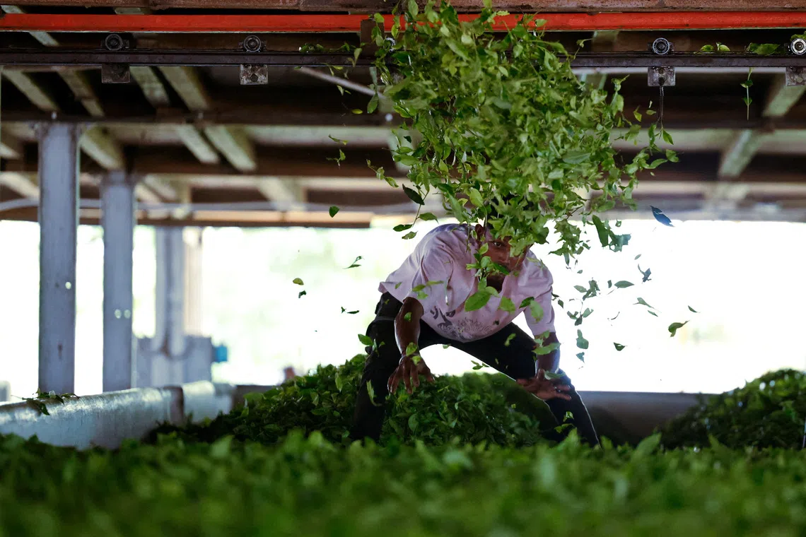 The Straits Times - Business - News Image