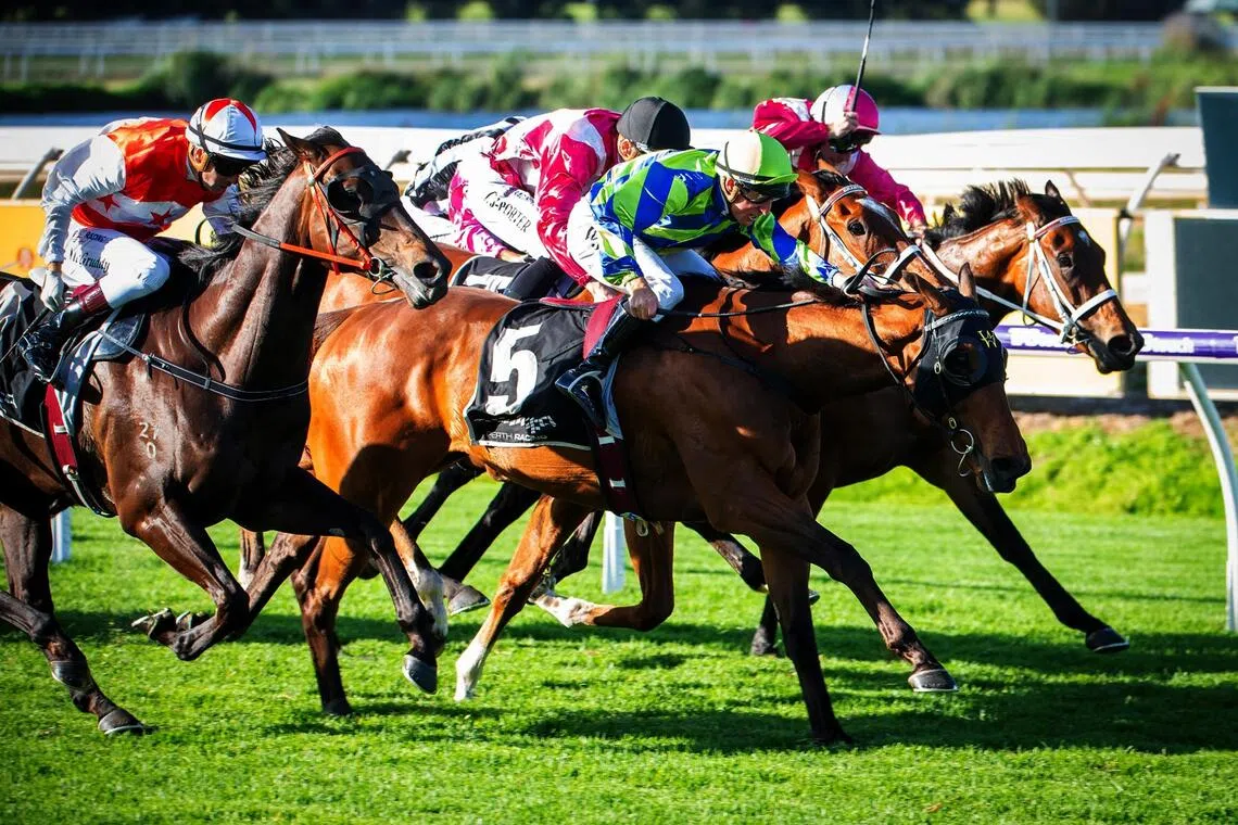 Watch Me Rock (William Pike) scoring a hard-fought win over Rope Them In (Shaun McGruddy) in the Group 3 Asian Beau Stakes (1,400m) at Ascot on Nov 1. The Grant & Alana Williams-trained10-time winner will start as favourite in the Group 1 Railway Stakes (1,600m) at Ascot on Nov 22.
