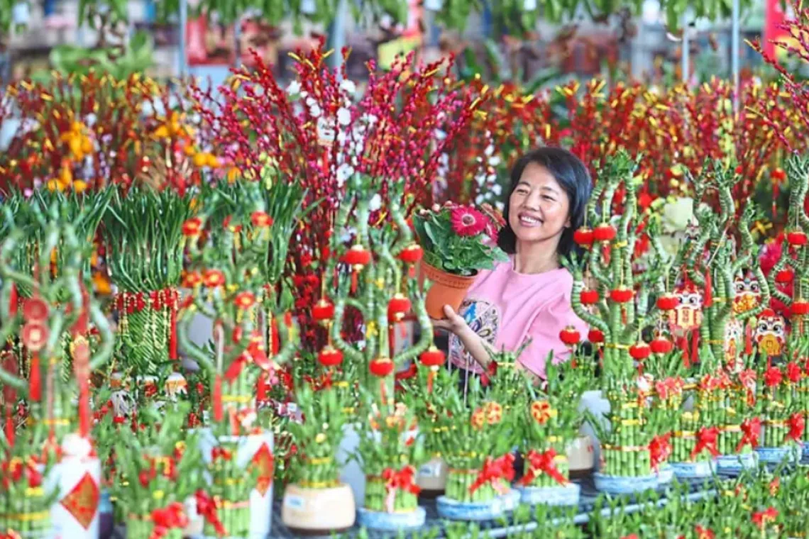 Ms Loh Sew Fong was among the customers seen choosing flowers at a nursery in Johor Bahru to decorate her house this Chinese New Year. 
