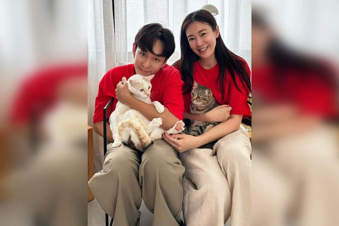 Celebrity couple Jesseca Liu and Jeremy Chan with their cats Tigger, a white 19-year-old male domestic shorthair, and Crusso Meimei, a three-year-old female tabby.