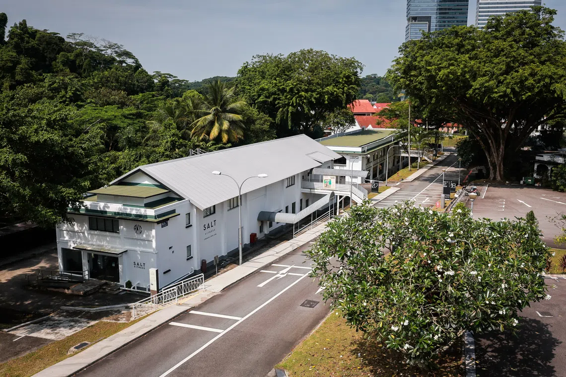Nature groups asked for a wider central green corridor for Gillman Barracks for better connectivity towards other green spaces.