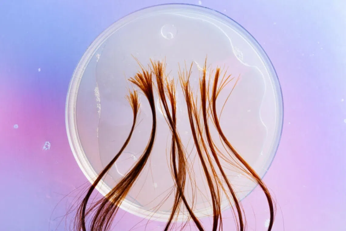 At once deeply personal and publicly scrutinised, hair sits at the boundary between biology and identity. 