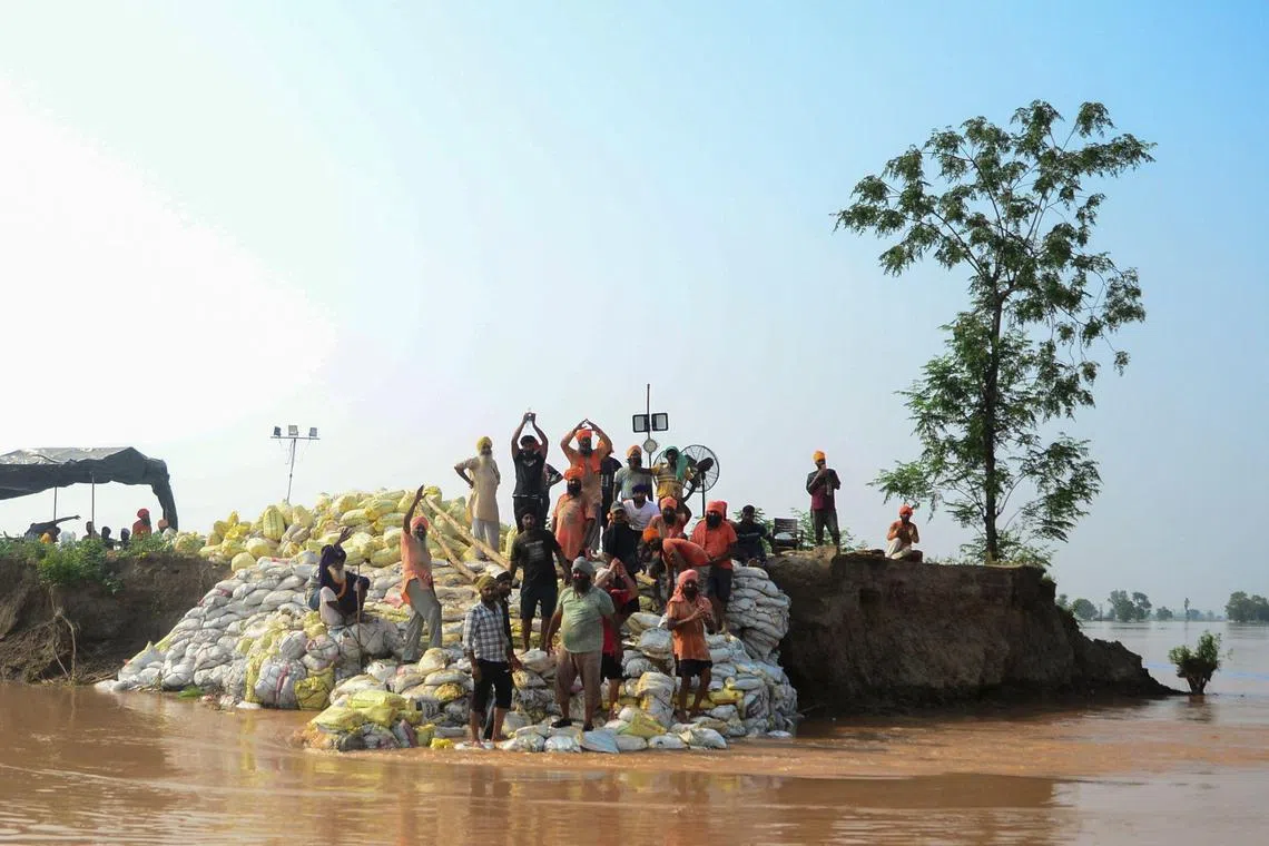 People placing sandbags to secure and embankment after a breach of the Sutlej River following heavy monsoon rains, some 60 Km from Jalandhar on July 12, 2023. Days of relentless monsoon rains have killed at least 66 people in India, government officials said Wednesday, with dozens of foreign tourists stranded in the Himalayas after floods severed road connections. 