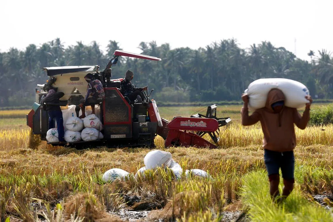 Indonesia on alert for prolonged dry season as El Nino nears