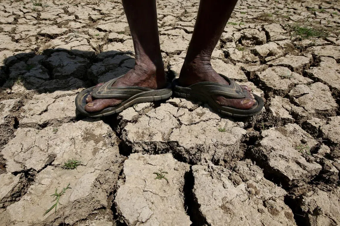 An Indian man standing on the dried Bheeman Lake bed on the outskirts of Bangalore, India March 1, 2024. Bangalore is facing a steep water crisis due to a severe drought. 