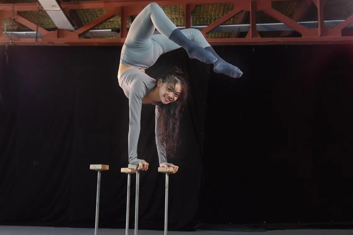 srbeverlywan - Beverly Wan performing a scorpion hand stand using the Handstand Canes. 

ST Photo: Desmond Wee

For ST Signature Series