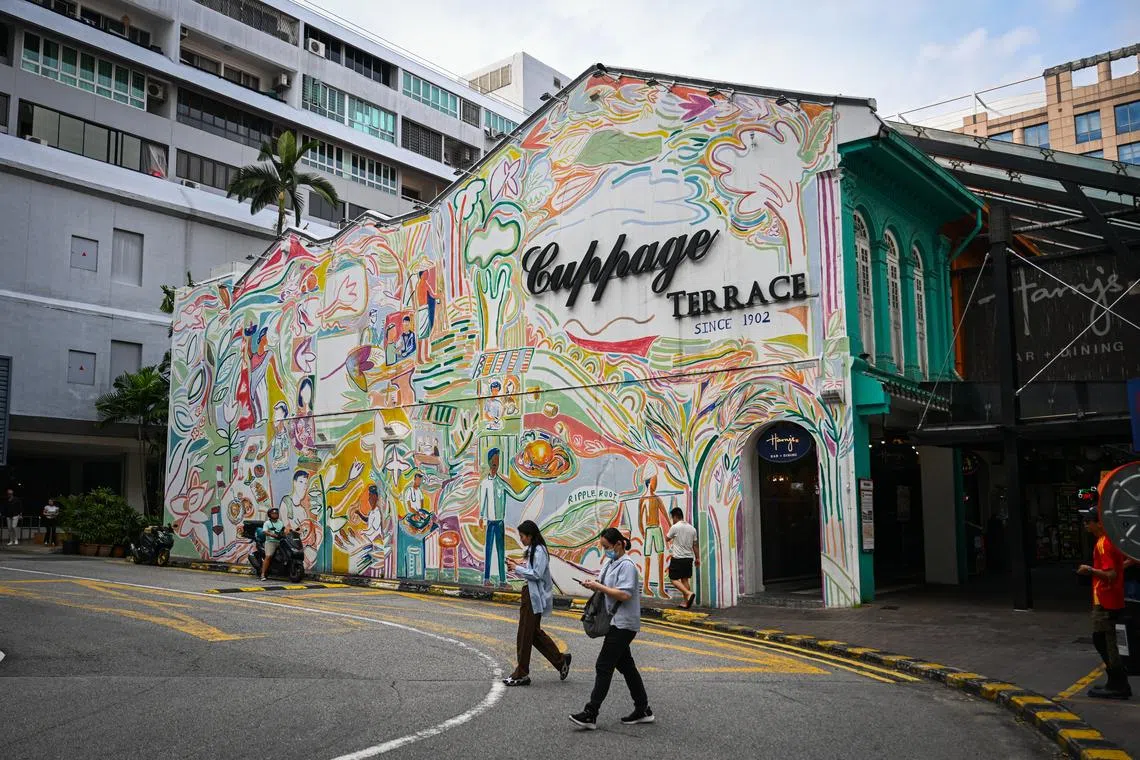 Cuppage Terrace comprises 17 adjoining Peranakan conservation shophouses.