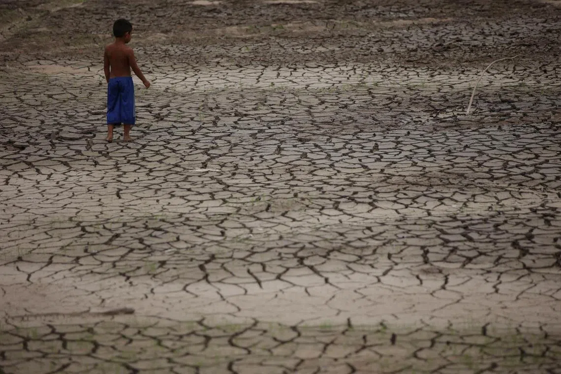 FILE PHOTO: A boy walks on a dry area of the Igarape do Taruma stream which flows into the Rio Negro river, as the water level at a major river port in Brazil's Amazon rainforest hit its lowest point in at least 121 years on Monday, in Manaus, Brazil October 16, 2023. REUTERS/Bruno Kelly/File Photo