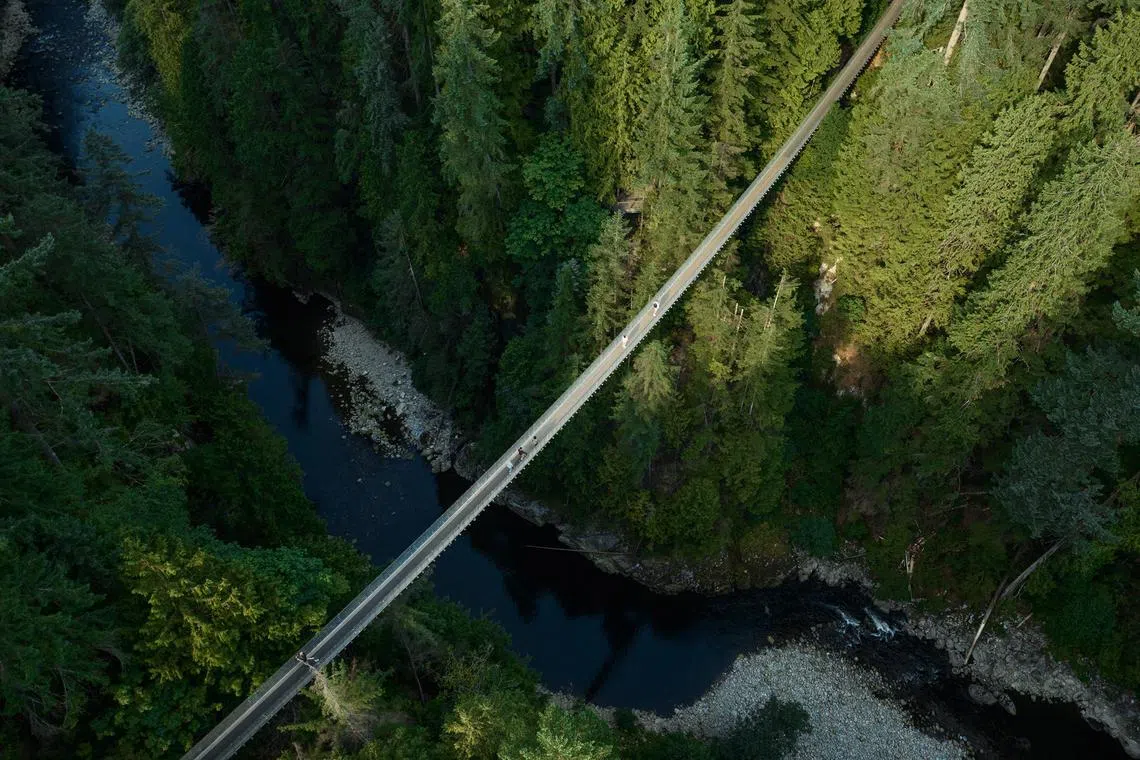 An aerial view of a group of tourists at the Capilano Suspension Bridge in Vancouver.

