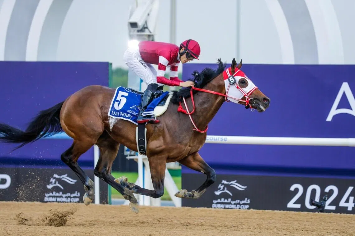 Japanese globetrotter Forever Young will attempt to go two better in the Grade 1 Breeders’ Cup Classic (2,000m) at Del Mar on Nov 1, after running third to Sierra Leone in 2024.
