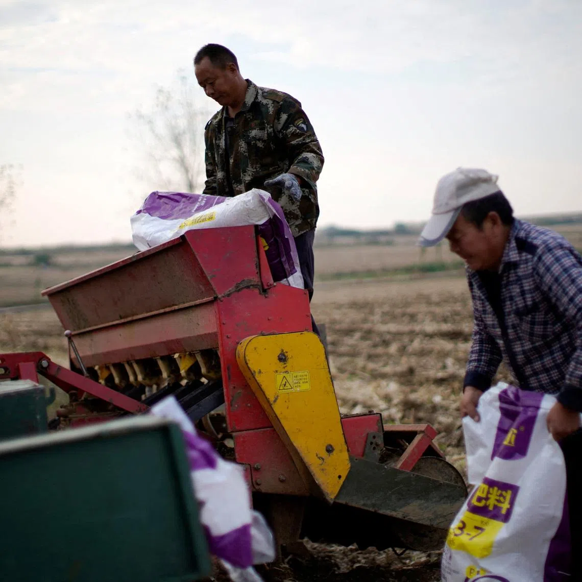 Major food exporters such as India, Thailand and Brazil depend on the Gulf for urea, a nitrogen-based fertiliser.
