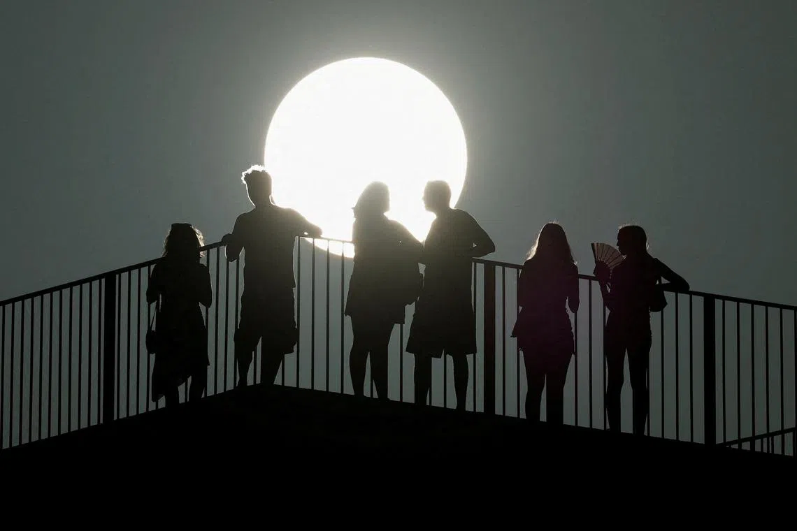 Next year could be even hotter than this year because of the Pacific warming phenomenon known as El Nino.