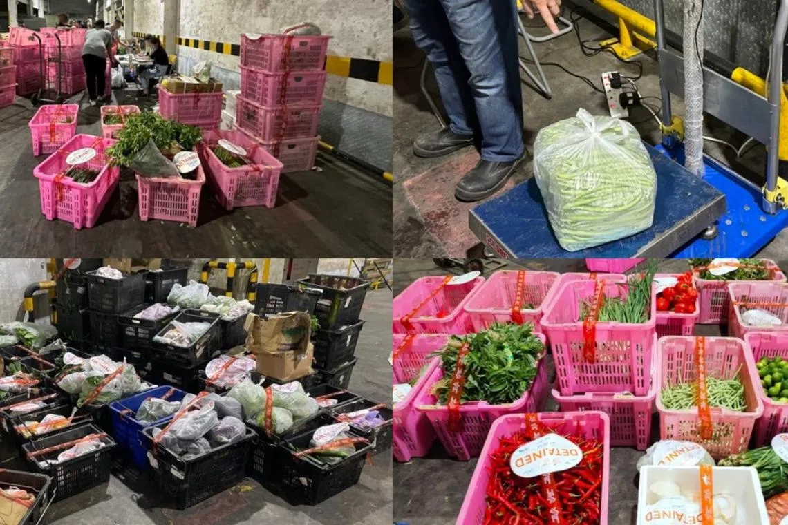 The illegally imported produce was weighed and the total weight was tallied by the SFA.