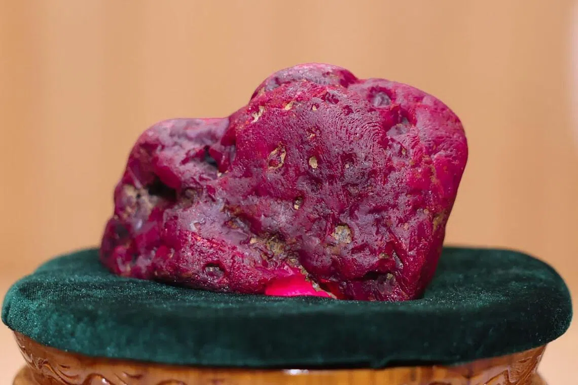 An 11,000-carat ruby in Naypyidaw, after it was found at a gem tract in Mogok in Mandalay region. 
