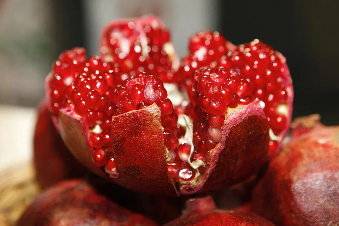 The tourist used a language app to translate "pomegranate" from Russian to Portuguese.
