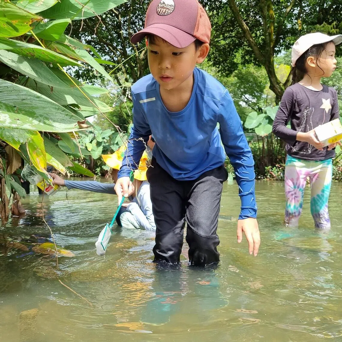 During Water Trekkers camp, kids will go knee-deep into the water to explore catchment areas with their instructors.