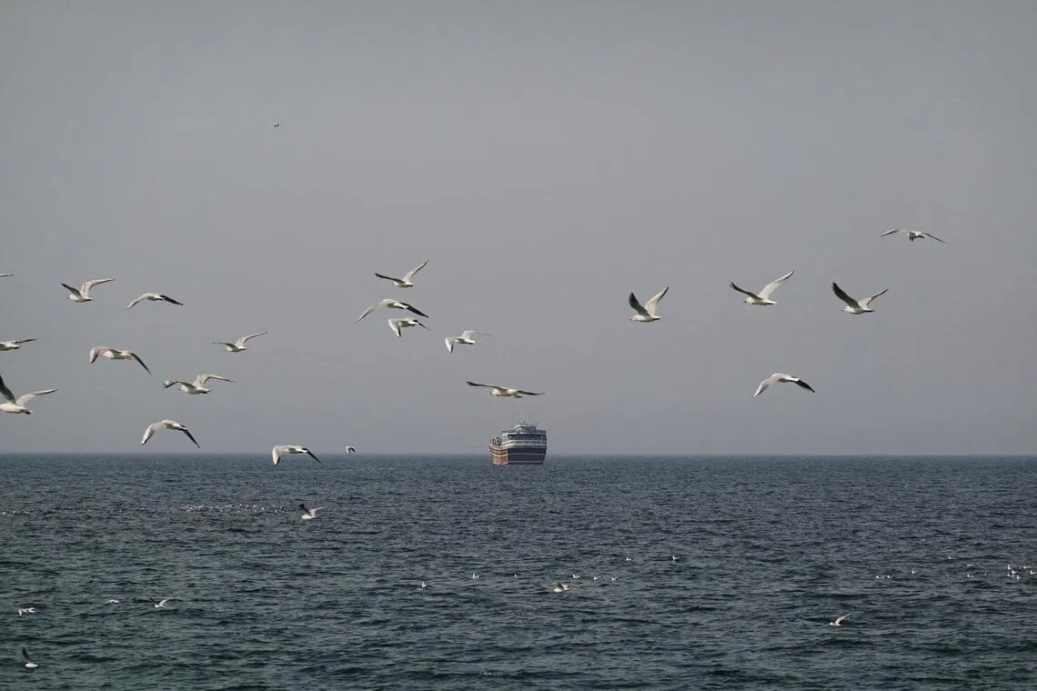 China calls on all sides to safeguard ships in Strait of Hormuz