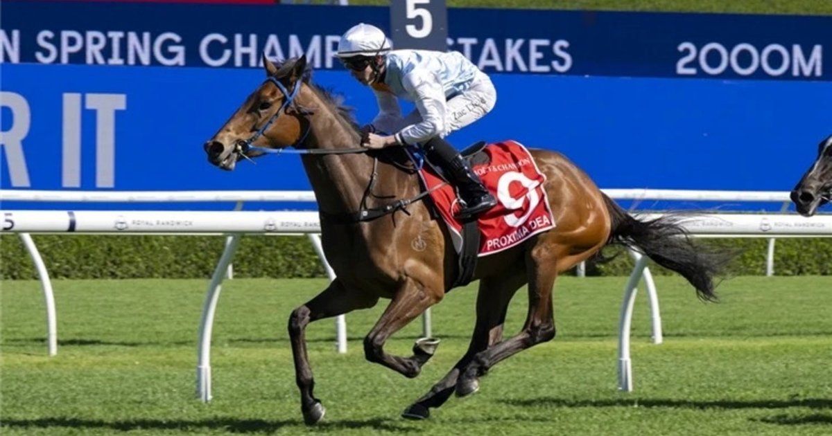 Proxima Dea outstays rivals in Spring Champion Stakes | The Straits Times
