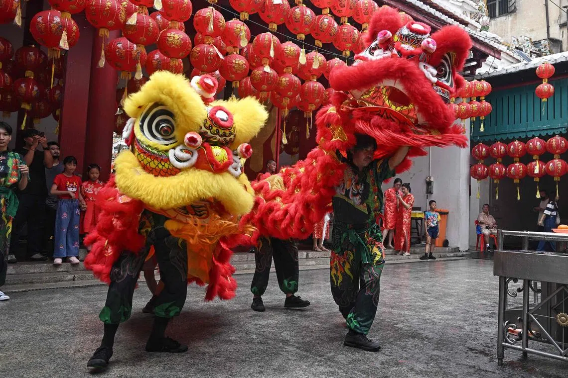Lion dancers perform at Kwang Tung shrine in Chinatown, Bangkok on Feb 10, 2024.
