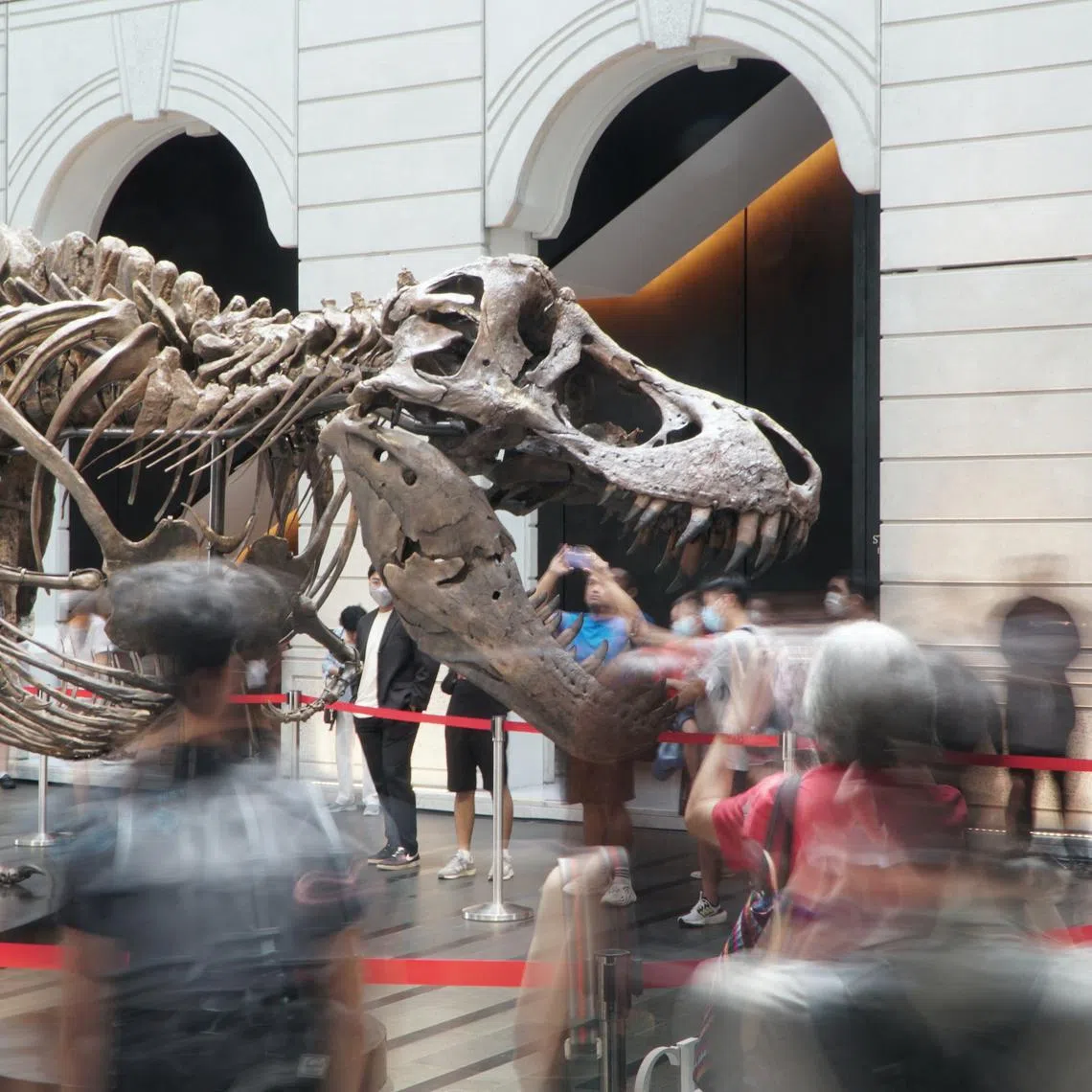 Visitors mill around a 1.4 tonne T-Rex skeleton named Shen during its exhibition at the Victoria Concert Hall, in an event organised by auction house Christie's Hong Kong, ahead of the first T-Rex auction in Asia, in Singapore, October 28, 2022. REUTERS/Travis Teo