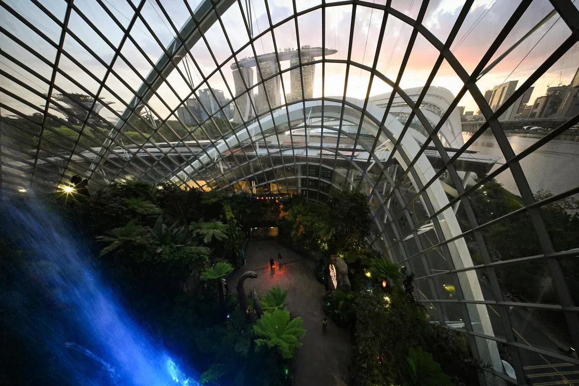 Singapore has a unique opportunity to leverage its extraordinary capacities for future-minded policymaking and intentional cohesion-building, says the writer.