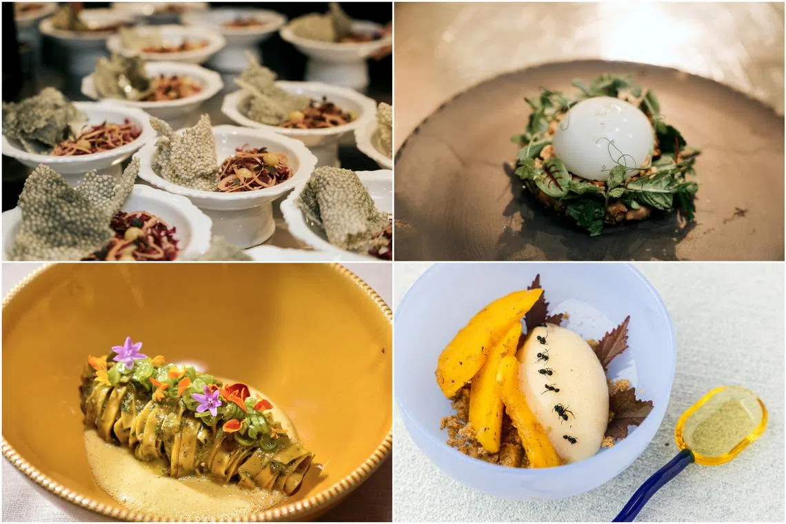 (Clockwise from top left) Synthesis' Sea-Viche and Eggless Chicken & Chickenless Egg , Fura’s unique ant ice cream and Solar Foods' Solein Pasta with Singapore Pesto.