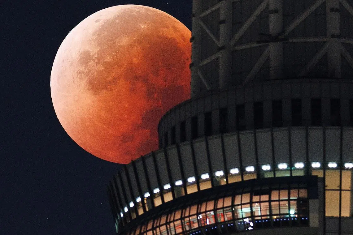 血染めの月/Blood Moon(3枚) ブラッドムーンの写真4枚 : r/Astronomy