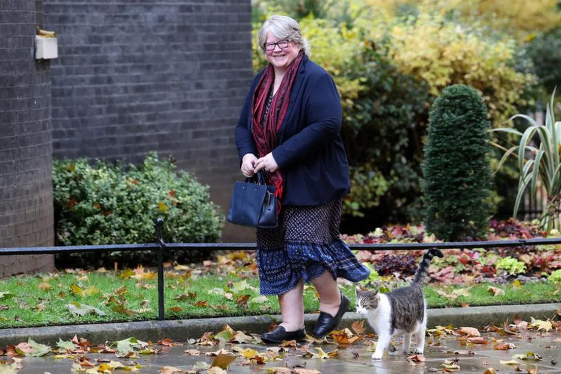 Britain's Environment Secretary Therese Coffey walks outside 10 Downing Street next to Larry the cat, in London, Britain November 13, 2023. REUTERS/Suzanne Plunkett